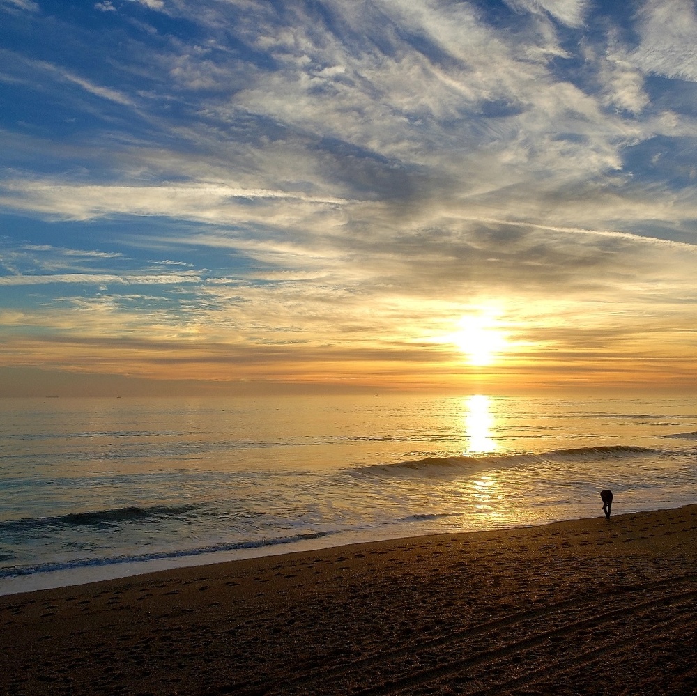 Meet your Posher, Joanna